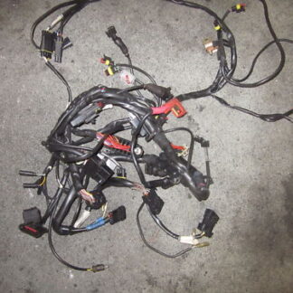 Ducati 748 Wiring Harness